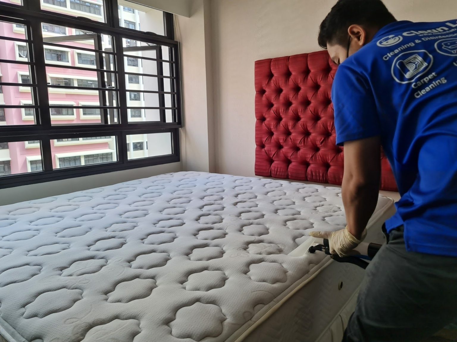 Sofas Mattresses Really Clean? Clean Lab Professional Cleaning