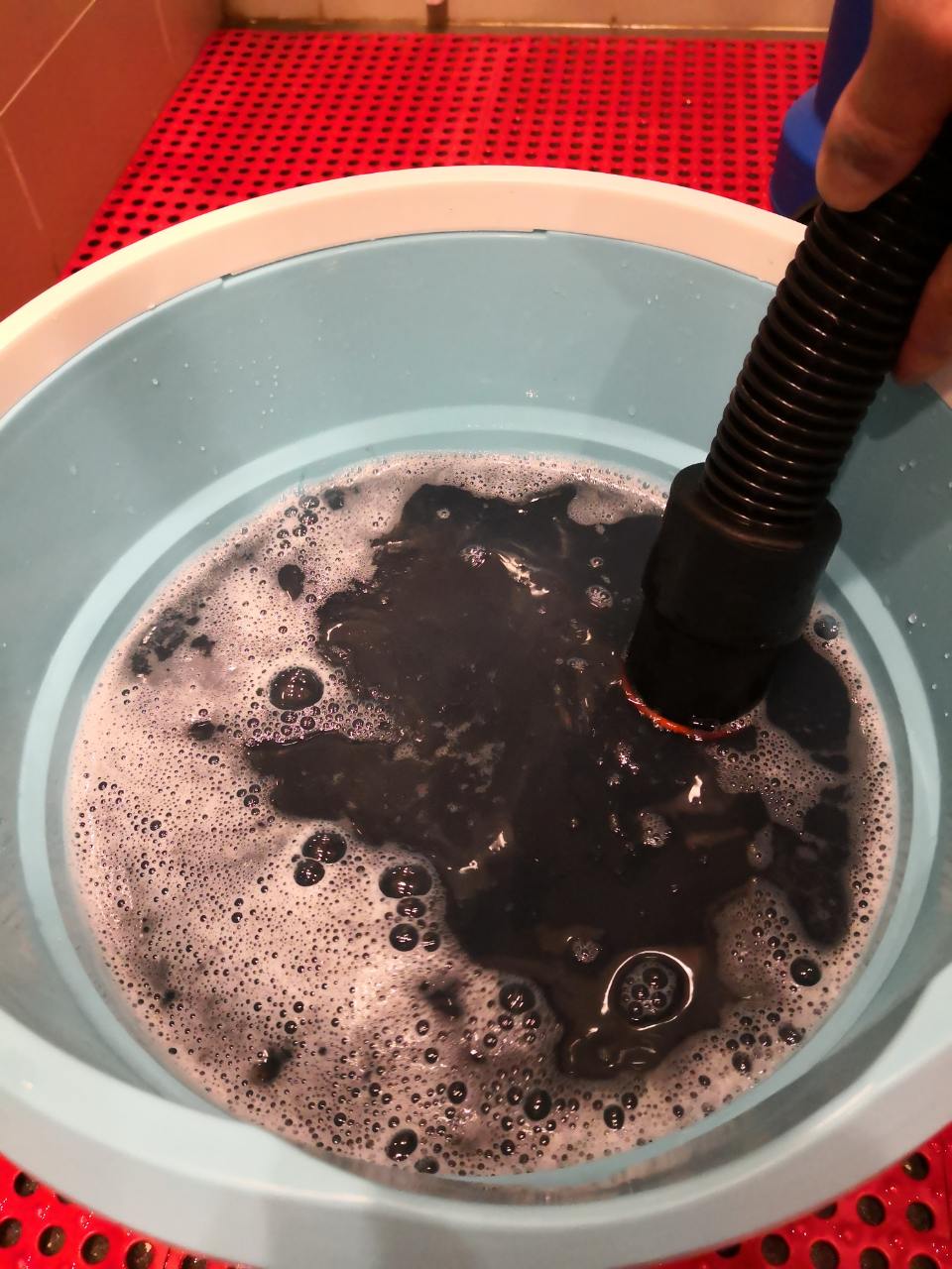 Carpet And Rug Cleaning Singapore 1 Cleaning Services