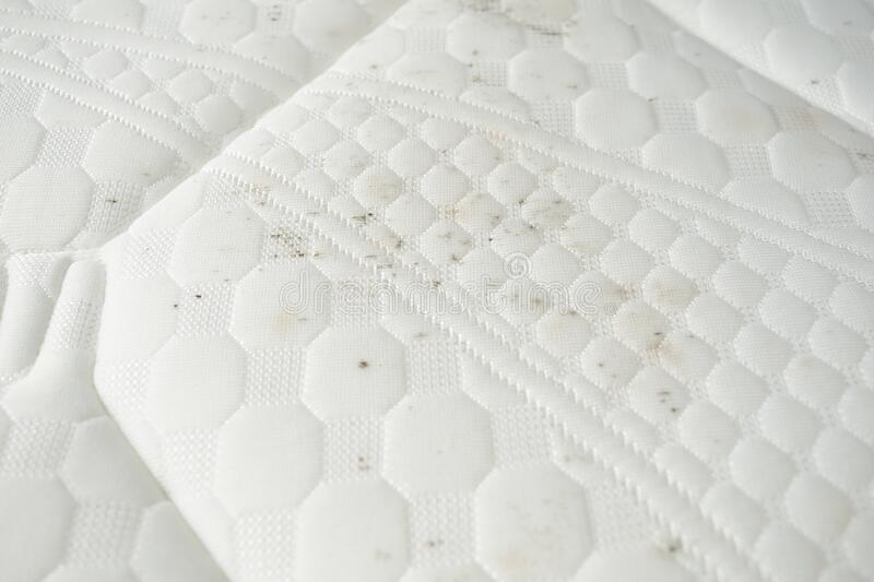 fungus stains bedding dirty mattress 174464797